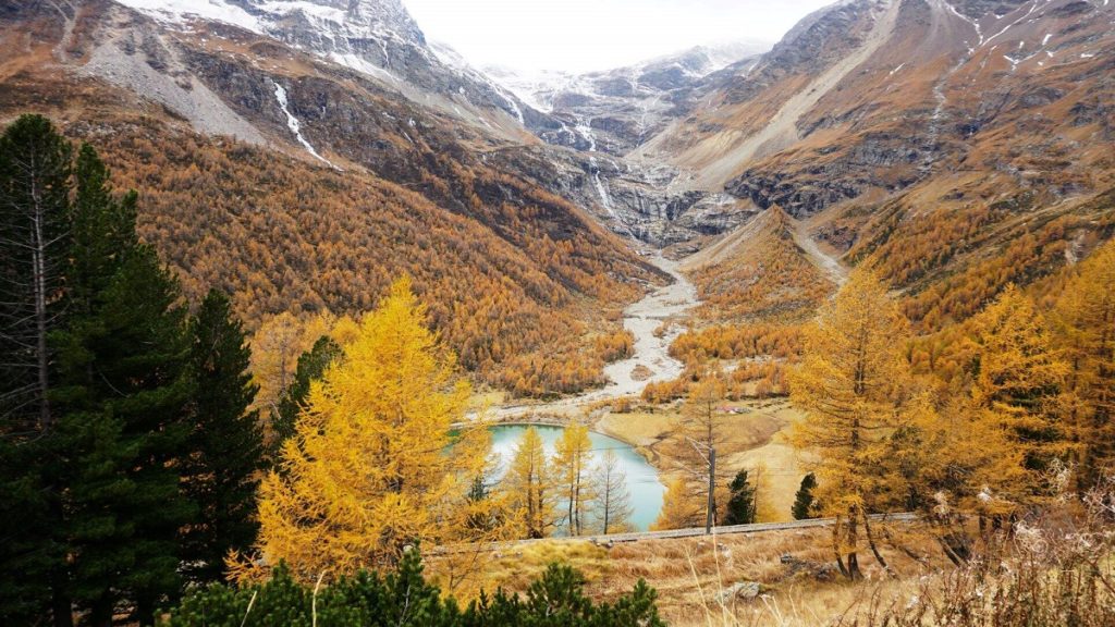 Herbstlandschaft beim Berninapass von Wanderwunderwelt